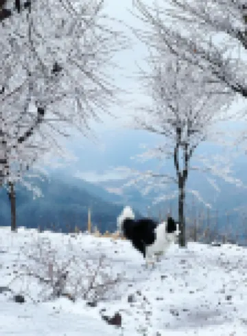 Ningbo Yunye Heguang · Qixiakeng Homestay