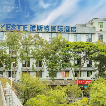 Yaster International Hotel (Shenzhen Bao'an International Airport T3 Terminal Store)