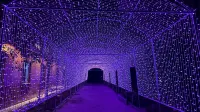 Yuanshan Yayuan · Forest Jingyi Homestay (Ya'an Shangli Store) - Træningscentre