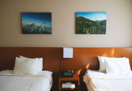 모나 용평 숨겨진 꿀팁