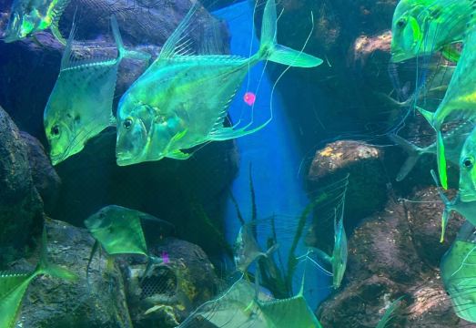 프레이저 스위트 광저우 로비