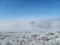 Yueshang Xiaolu | Mountain Forest Cloud Sea Snowfield Vacation Boutique Stay (Anji Jiangnan Tianchi) - Ocean View
