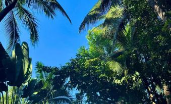 Q+ Xishuangbanna Golden Mango Inn ( jinghong  Gaozhuangxishuangjing Starlight Night Market)