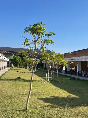 รูปภาพของยู-ทอง การ์เด้น รีสอร์ท