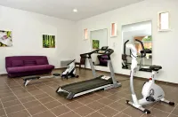 테레 드 프랑스 - 르 도멘 드 바커스