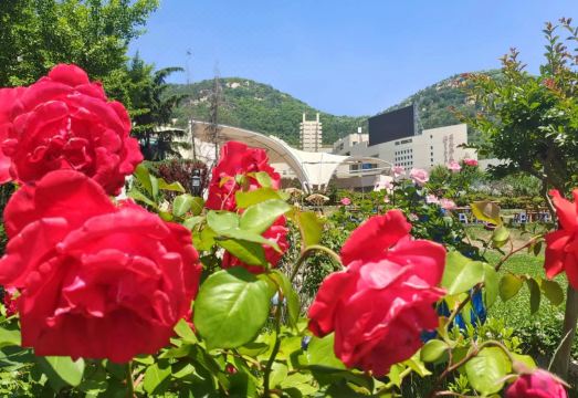 Ramada Plaza by Wyndham Taian의 넓은 레스토랑