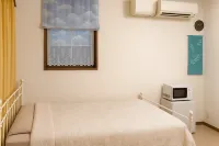 Mt.Fuji Homestay Leoya - Mountain view