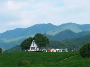 Weichi Sakura Valley Resort