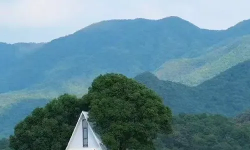 Weichi Sakura Valley Resort