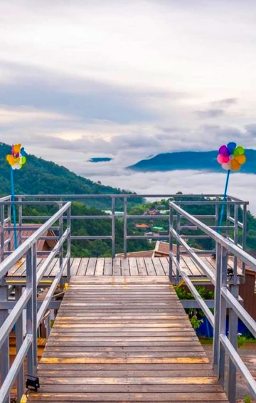 รูปภาพของไร่ซัวย่าง