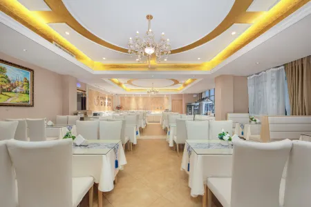 Vienna hotel Отели в г. Синьсян