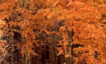 Mountain-Nestled View Resort Homestay (Banqiao Branch, Southern Anhui Sichuan-Line)