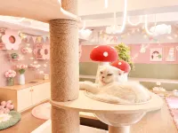 Juzhiranju Hotel (huaguoyuan White House Shopping Center store) - parcheggio