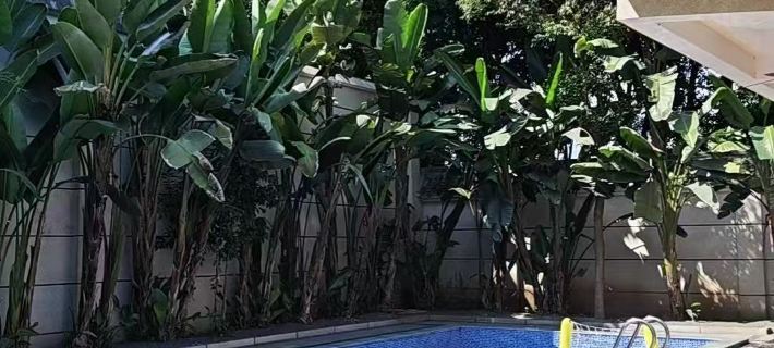 Xinqijianjie Homestay Ξενοδοχεία στην πόλη Ντέιι