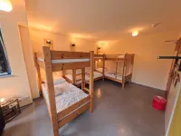 Babelfish Hostel - hostel