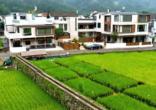 Yi·Nanchuan | Misty·Crest·Dream View Realm Homestay (Xia Nahui, Wanfenglin Scenic Area) - Private Pool