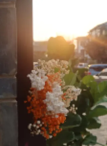 望舒民宿（建水古城朝陽樓店）