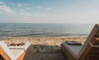 two lounge chairs on a sandy beach near the ocean , with towels placed on the loungers at Golden Star City Resort