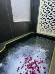 Sunny Luxury Wenquan Homestay - Hot Springs