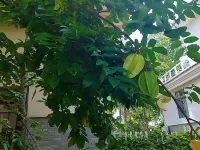 Island Story Holiday Apartment Hotels near Yudai Beach