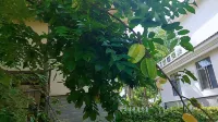 Island Story Holiday Apartment