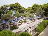 Bluesun Hotel Soline Hotels in Brela