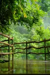 LiuLangCheng  Xiancao Secret Realm Homestay فنادق في قوانغ نان