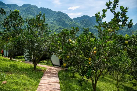 Ora Hill Farmstay & Glamping Hoa Binh Отели в г. Хоабинь