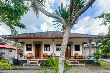 Arlina's Kintamani