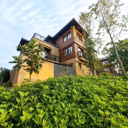 Insect Homestay