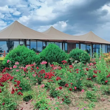 Seven-Color Danxia  Star Sky Tent Hotel