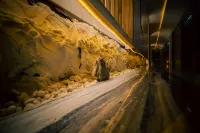 Volga Spruce Courtyard Boutique Hotel