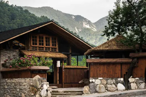 Under the Tree Art Hot Spring Homestay