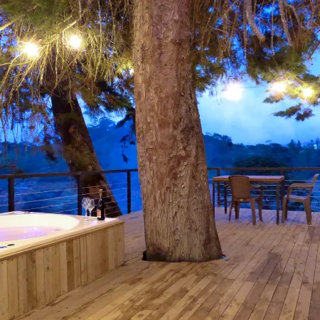 Tree House: Private cabin with jacuzzi & kayak