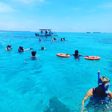 Diani Reef Beach Hive 1 - 350m to the beach