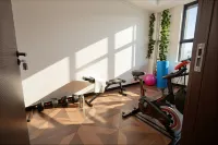 Yujianbuwan Boutique Hotel (Jinghe County People's Government) - Gym