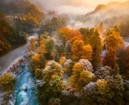 Tireless Forest Hiking Chill Private Hot Spring Homestay - Pet friendly