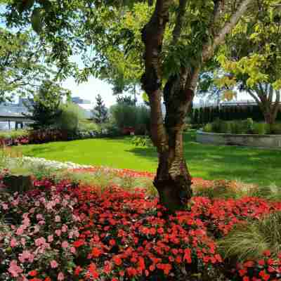 ラディソン ブル バンクーバー エアポート  ホテル & マリーナ Hotel Exterior