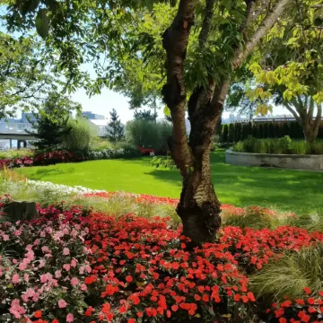 Radisson Blu Vancouver Airport Hotel & Marina