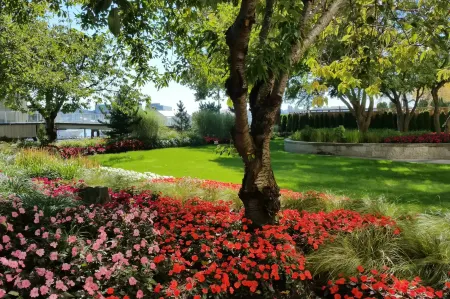Radisson Blu Vancouver Airport Hotel & Marina Отели рядом с достопримечательностью «UBC Rose Garden»