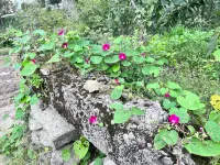 Hangzhou Lin'an Langyuan Inn Hotels in Linan Daming Mountain/Shimen Gorge Scenic Area