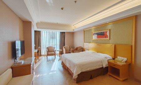 Vienna Hotel (Xuzhou Suning Plaza Pengcheng Metro Station) - Housity