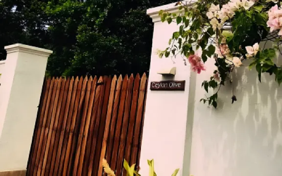 錫蘭橄欖酒店 酒店