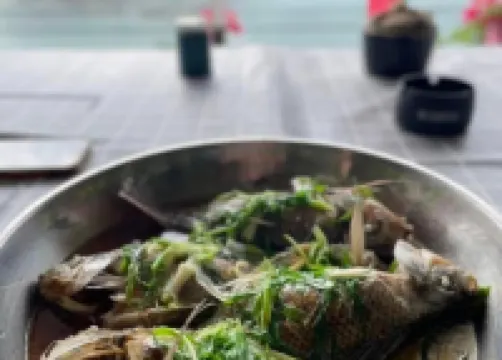 清遠映月居民宿