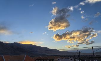 Stone Xiaozhu Homestay