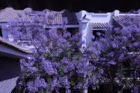 Chengjiang Jifang Inn