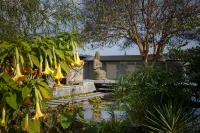 The Terraces Resort and Spa Các khách sạn ở 