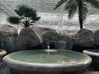 Harbin Meilidao Hot Spring Resort Hotel - Hot Springs