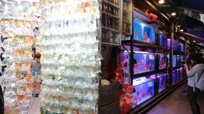 ホテル周辺 ドーセットモンコック香港の写真