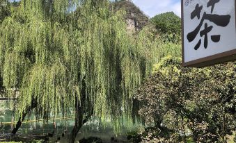 Zhenyuan is like a hometown homestay